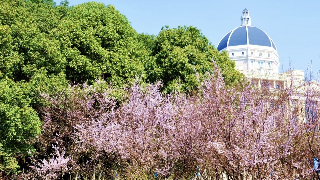 上海外国语大学举办校领导班子树立和践行正确政绩观学习教育读书班